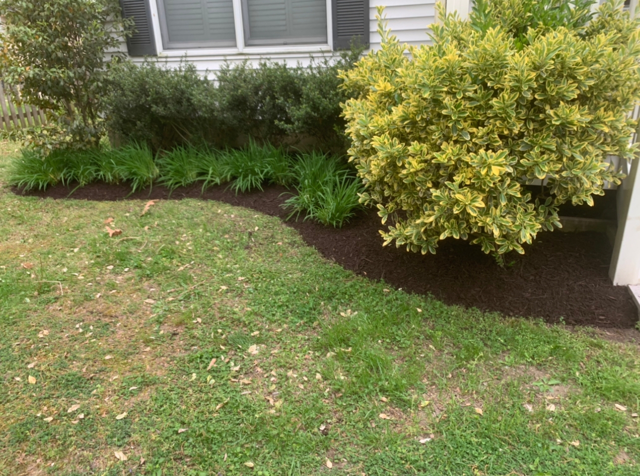 Central Village Construction